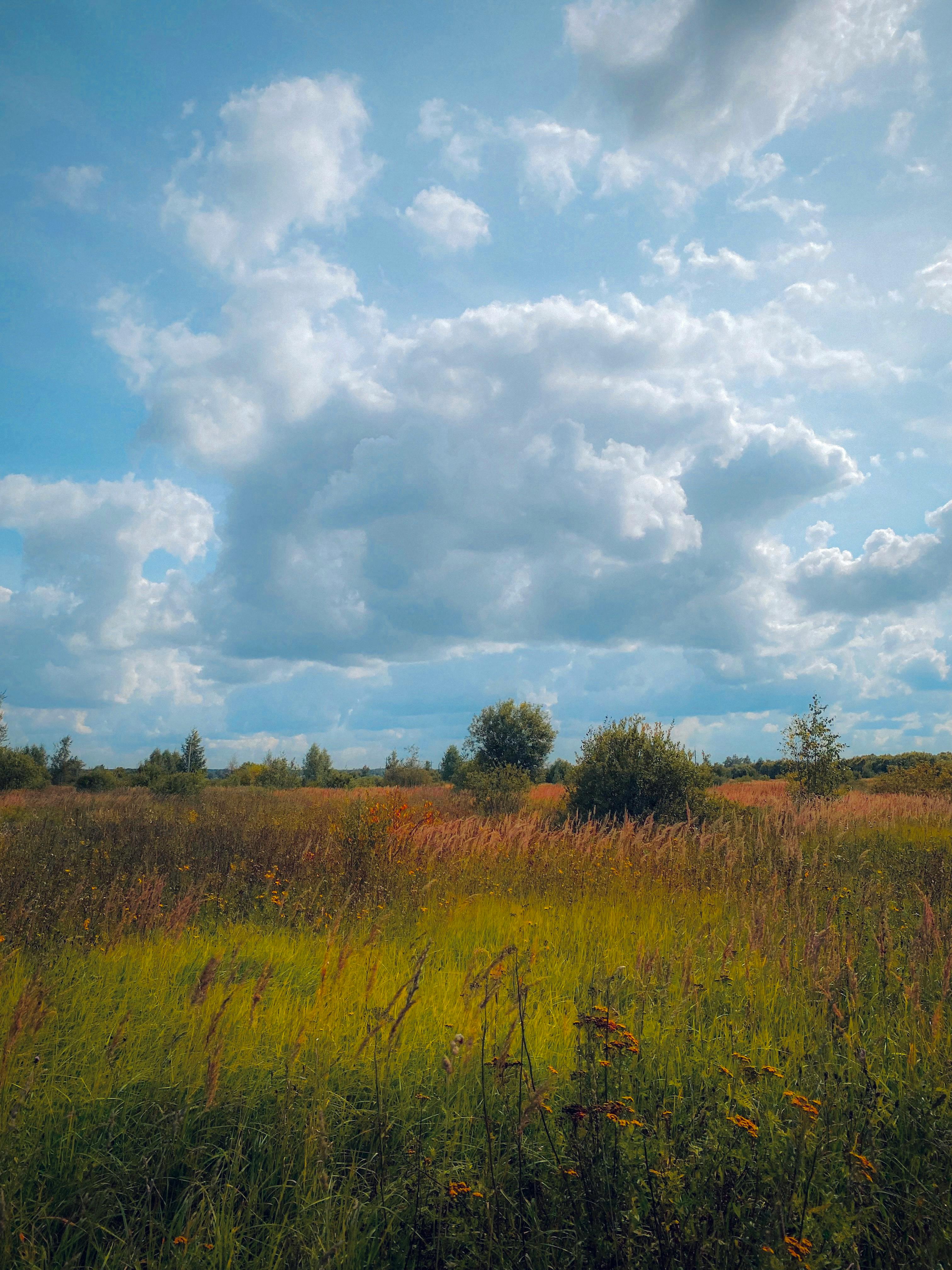 Contemporary house with wooden accents