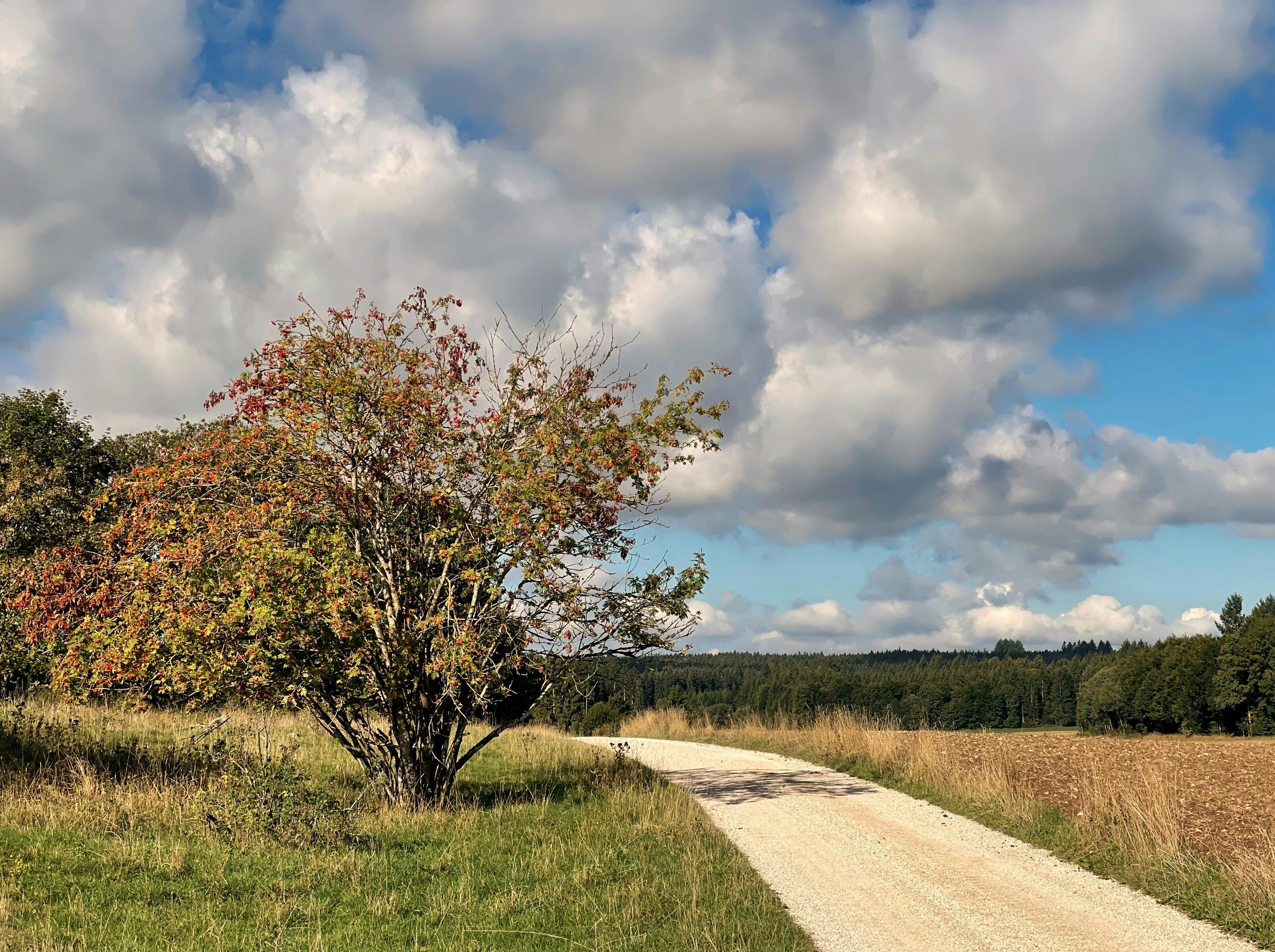 Modern home with clean lines and glass features